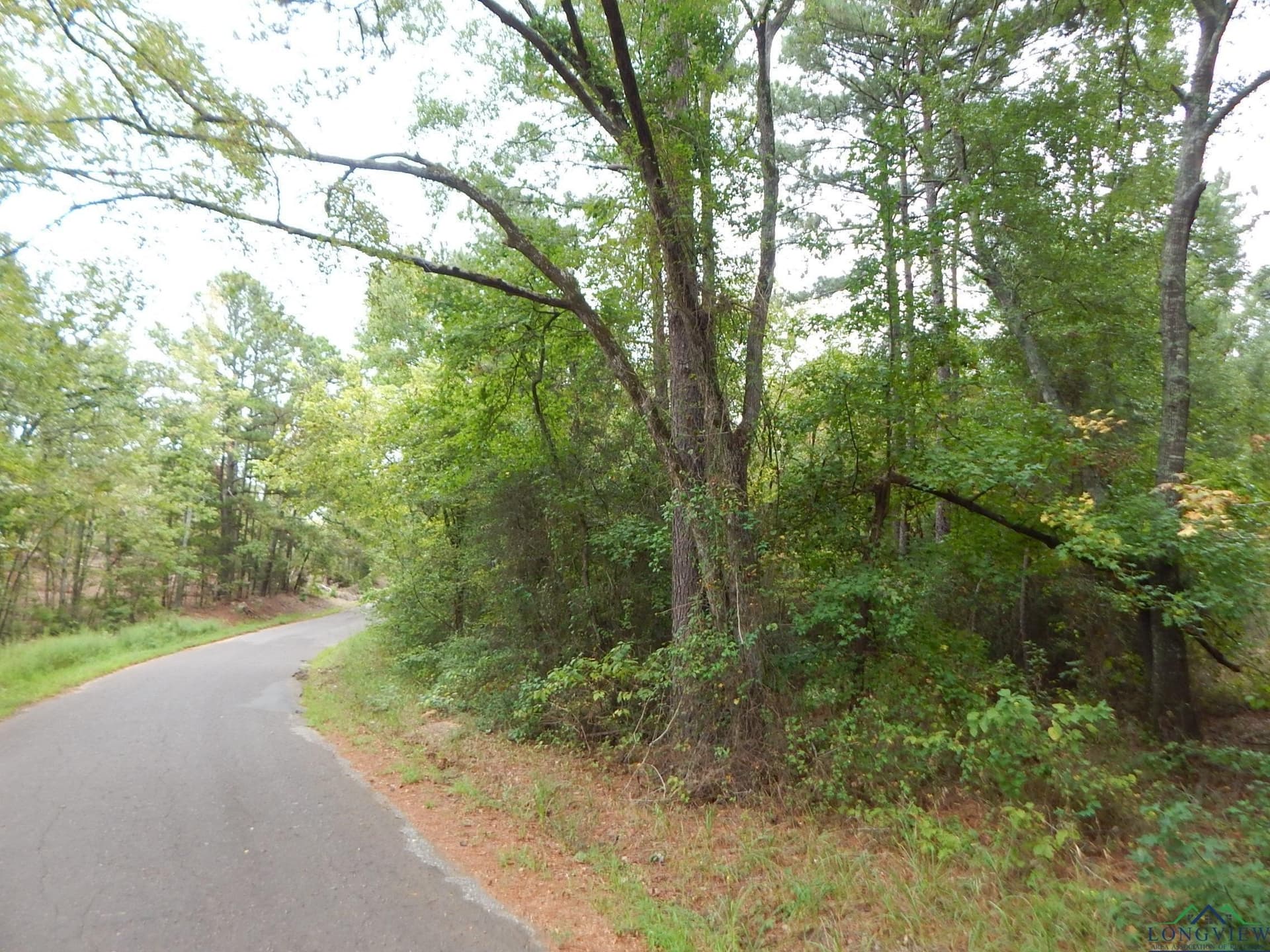 70.78 acres in Upshur County - photo 3