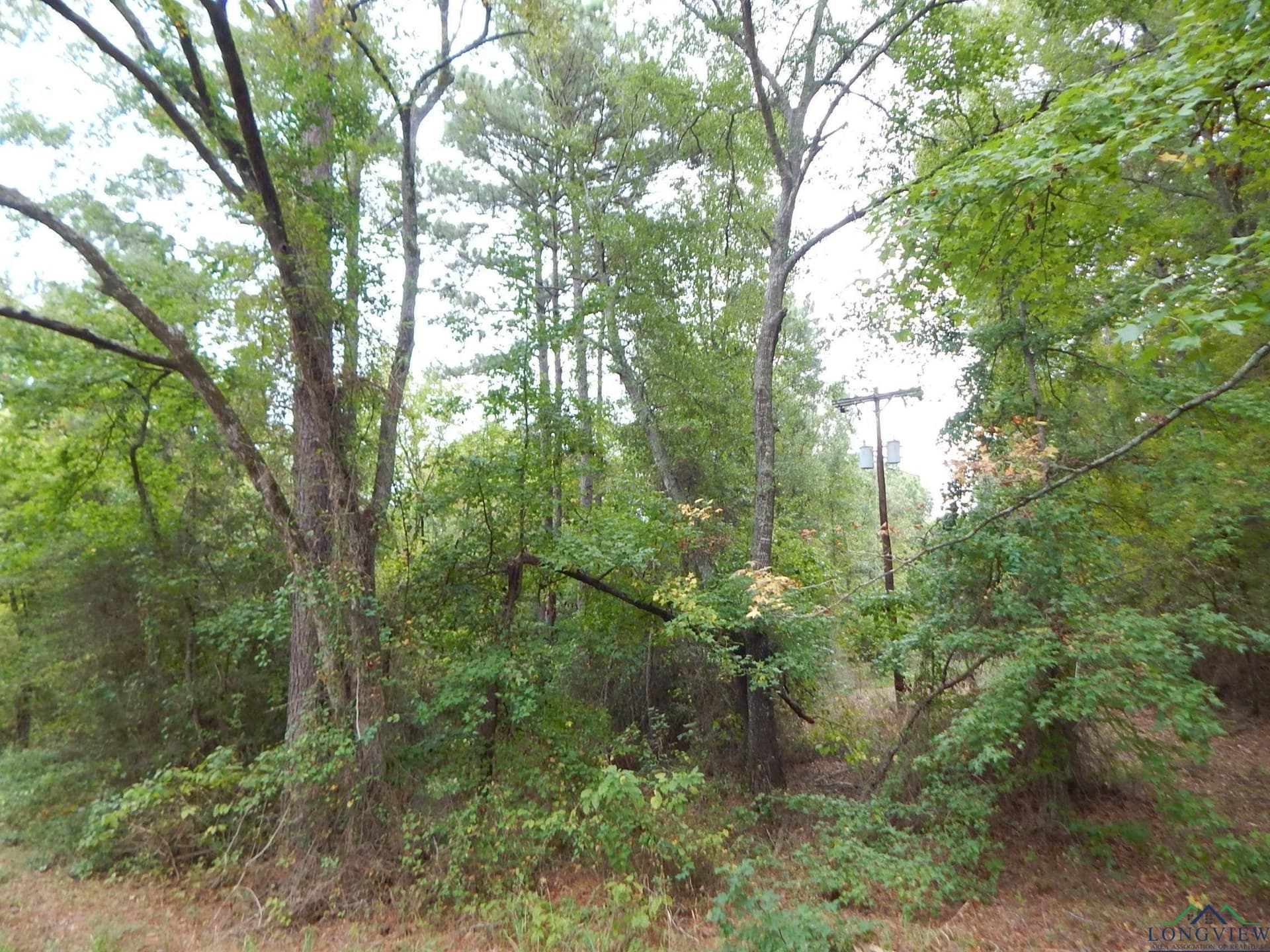70.78 acres in Upshur County - photo 2