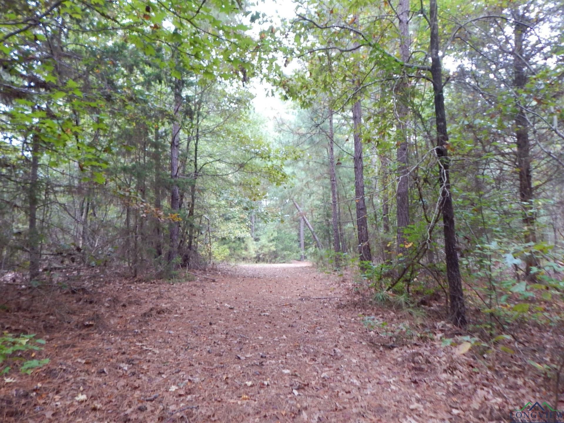 Tbd 70.78 RED MAPLE RD.