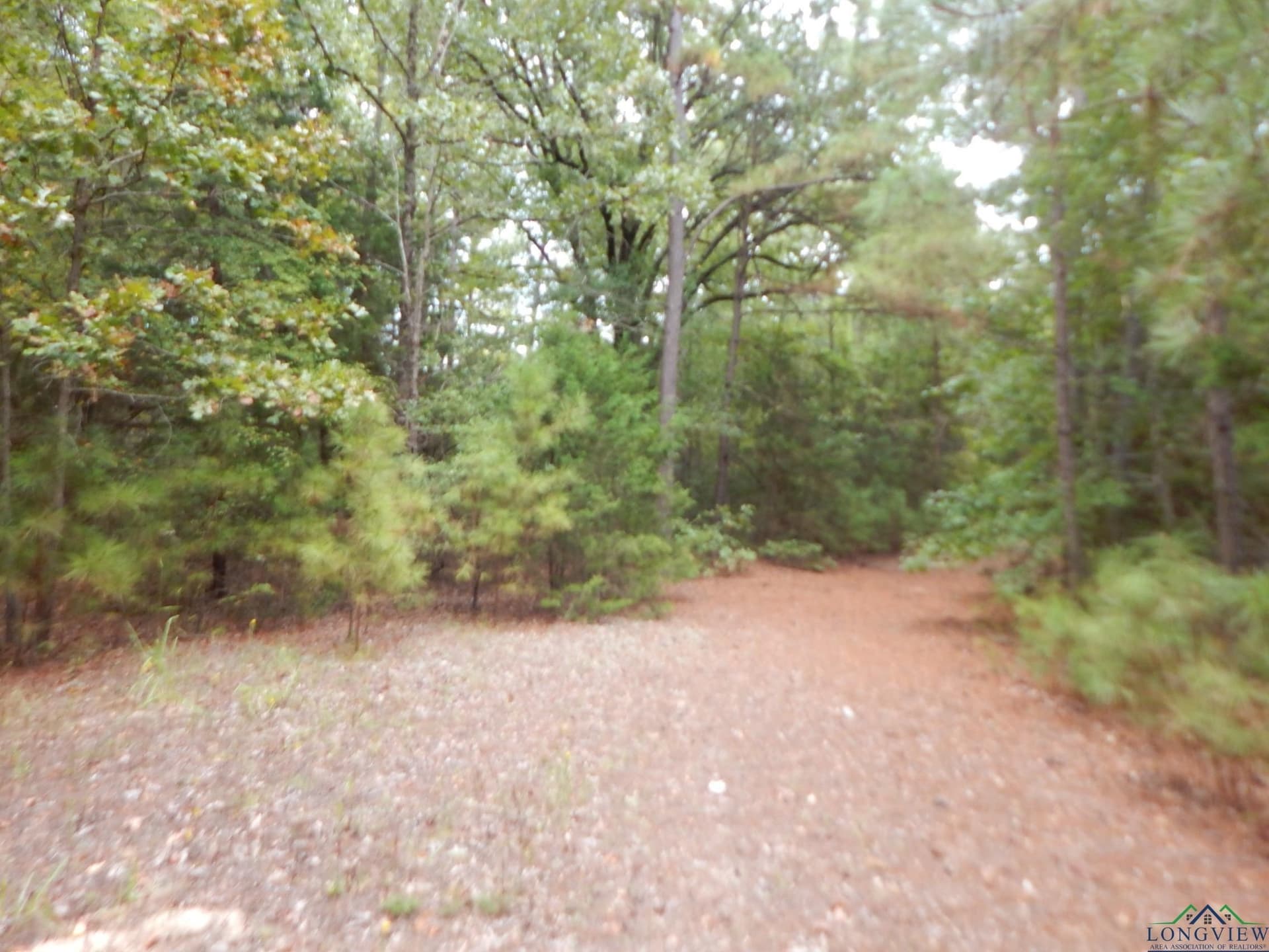70.78 acres in Upshur County - photo 10
