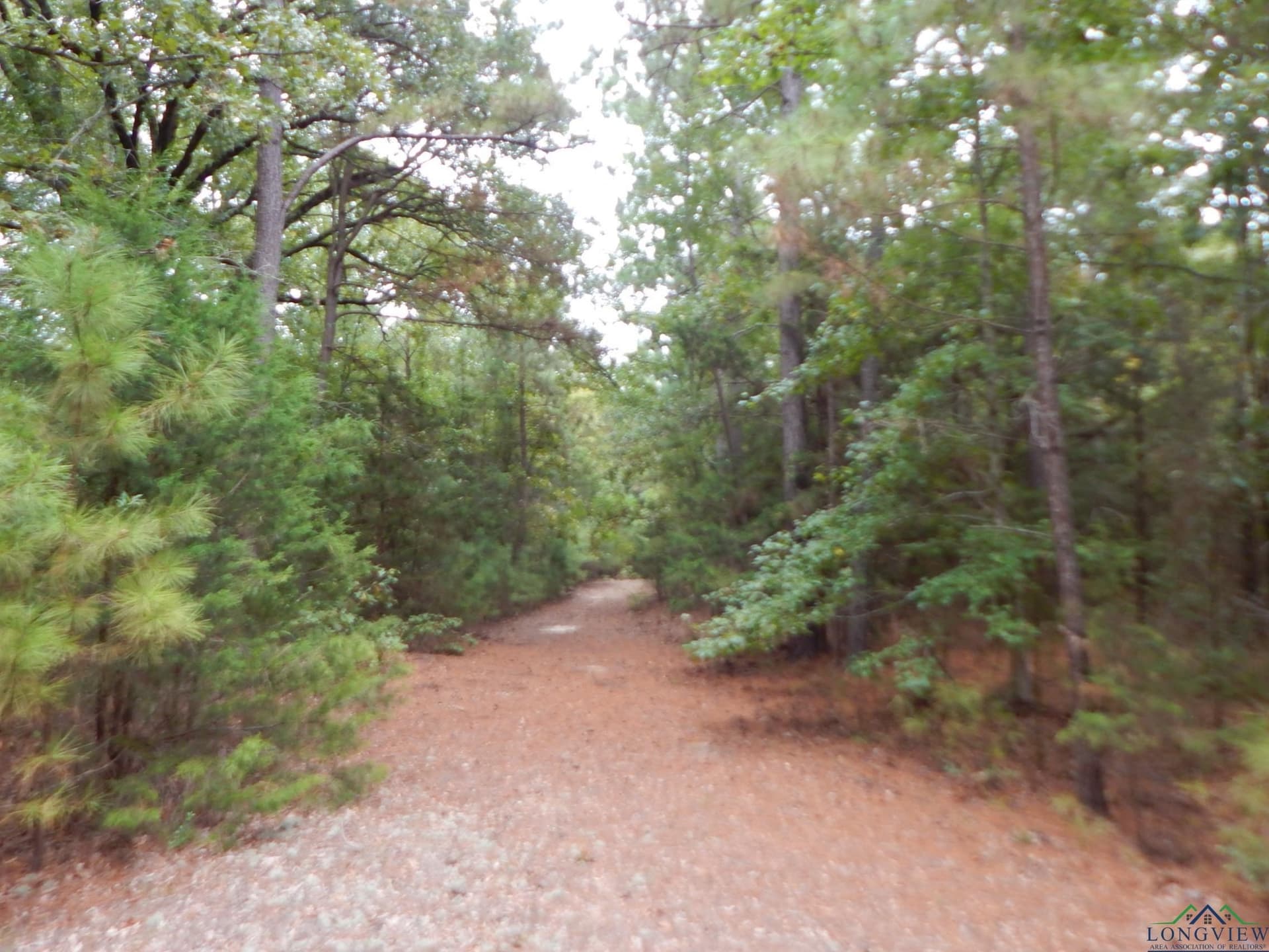 70.78 acres in Upshur County - photo 11