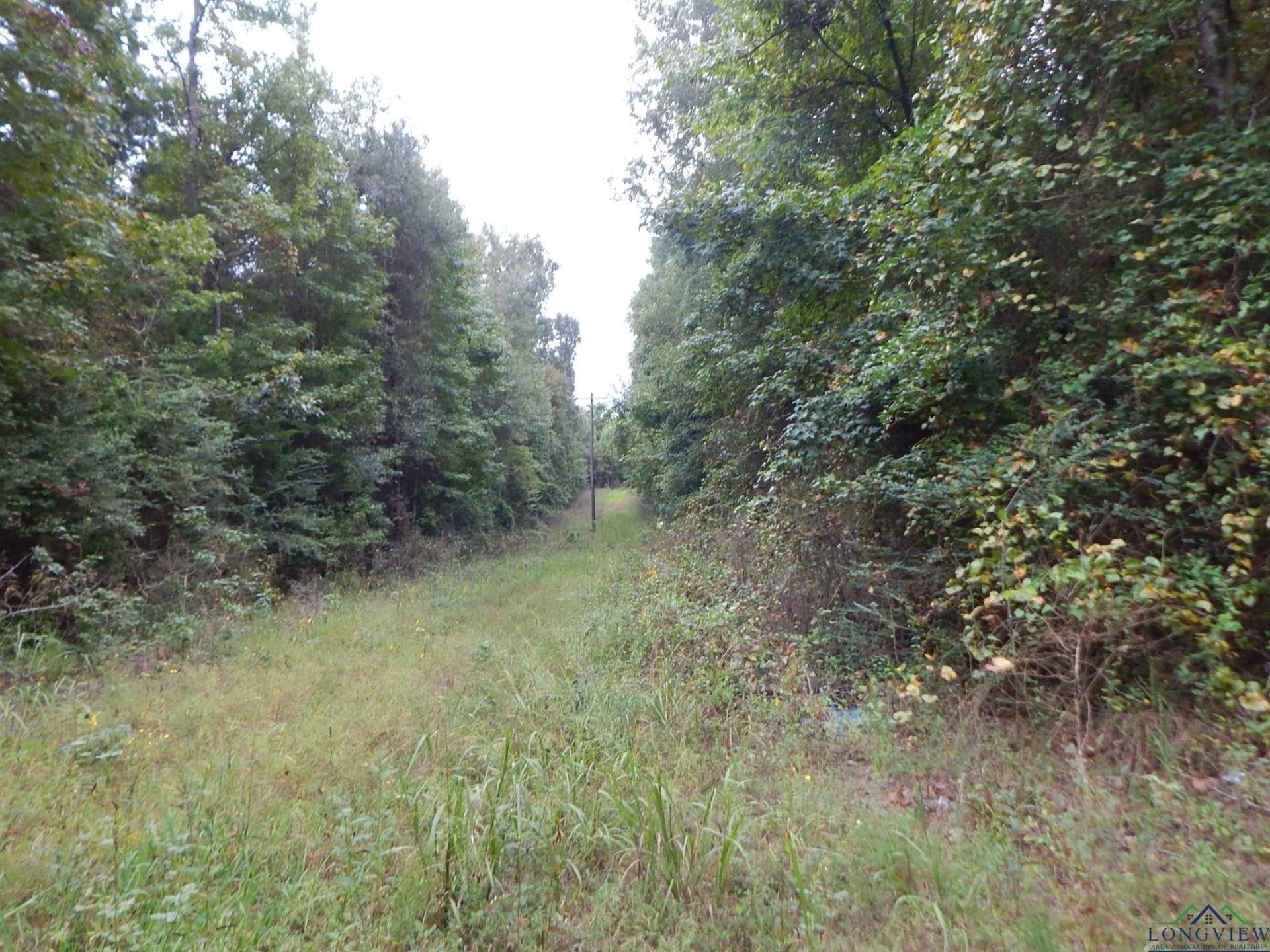 70.78 acres in Upshur County - photo 8