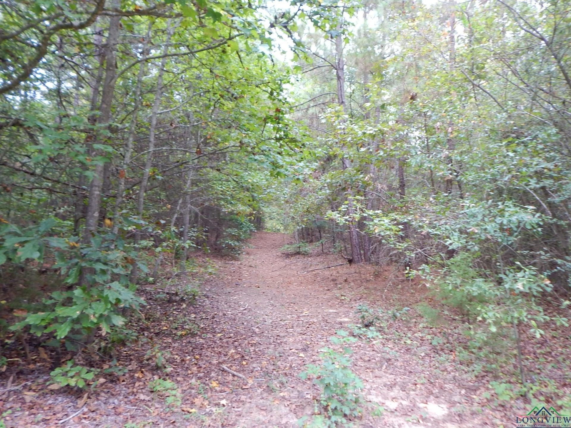 70.78 acres in Upshur County - photo 9