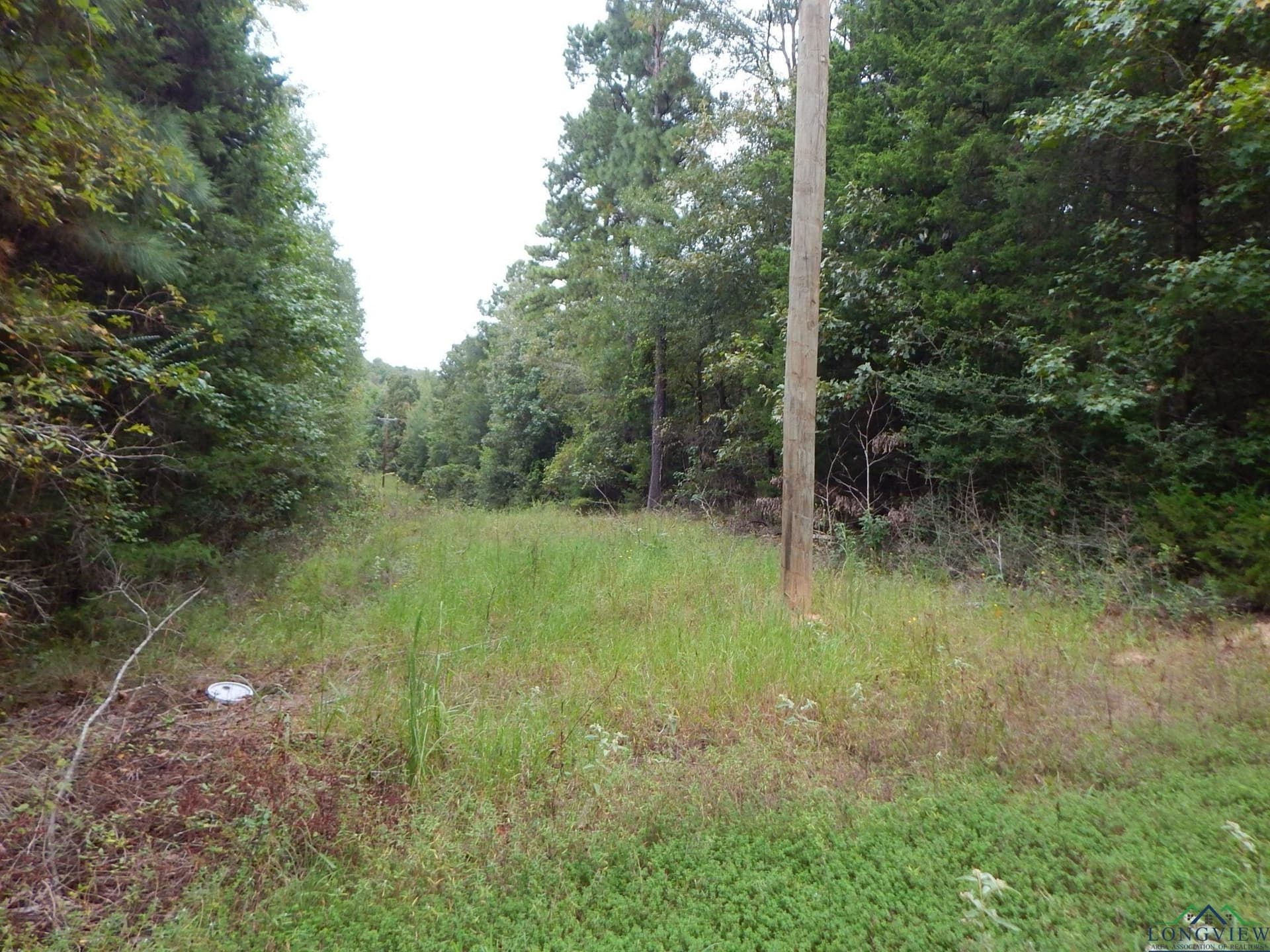 70.78 acres in Upshur County - photo 7