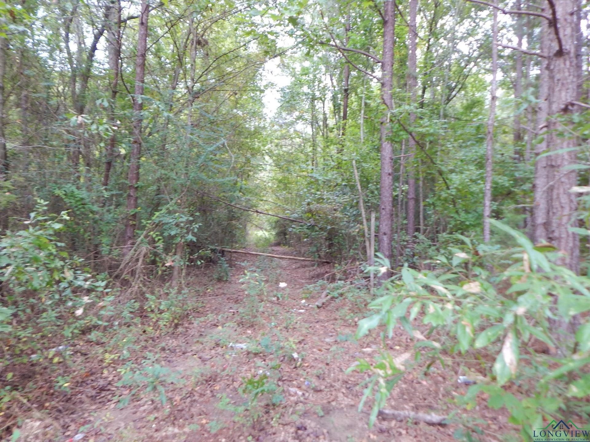 70.78 acres in Upshur County - photo 6
