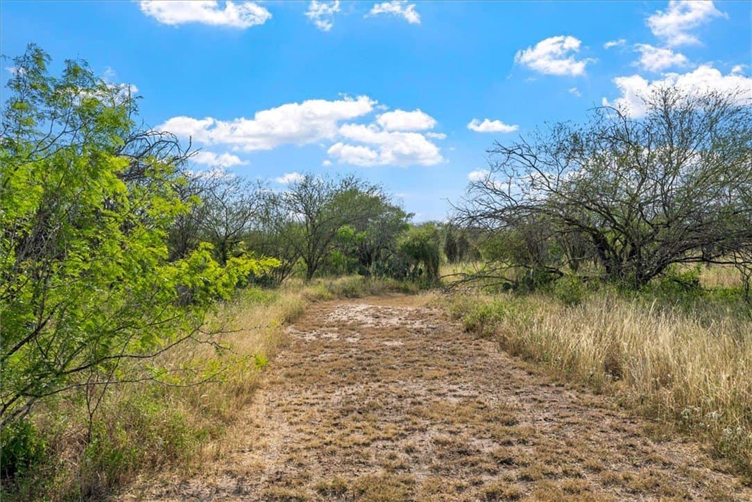 34.13 acres in Jim Wells County - photo 34