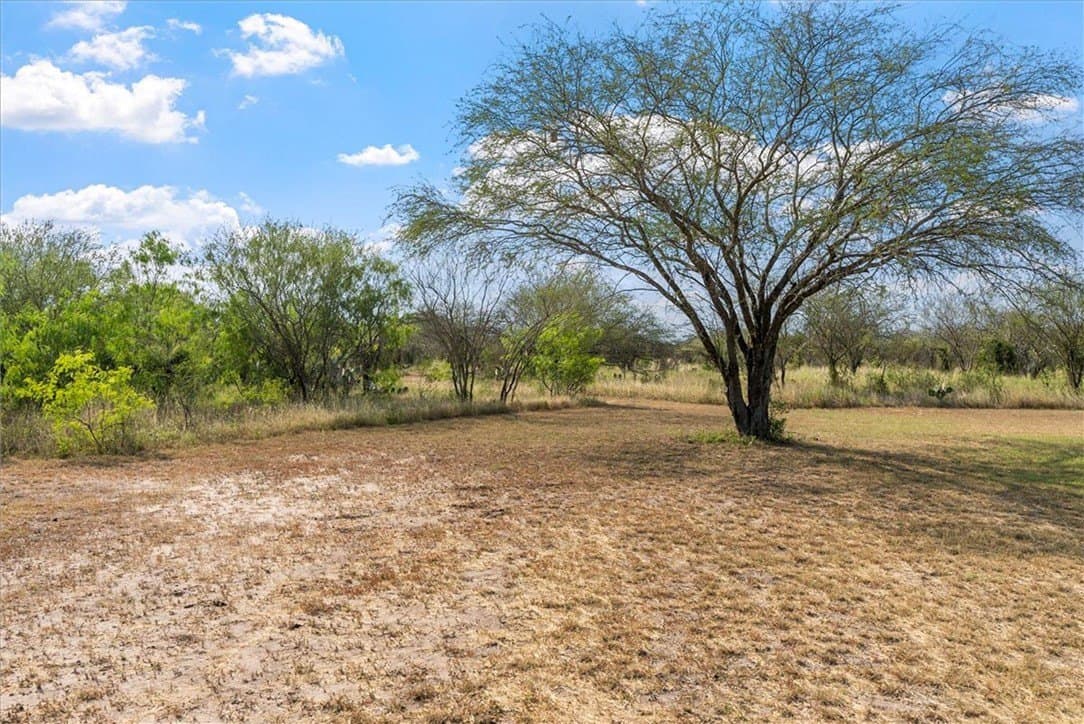 34.13 acres in Jim Wells County - photo 33
