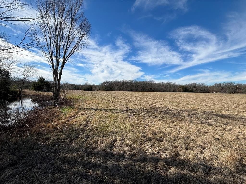 19.22 acres in Henderson County - photo 3