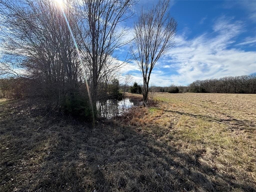 19.22 acres in Henderson County - photo 6