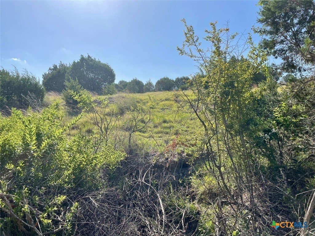 10.04 acres in Burnet County - photo 12