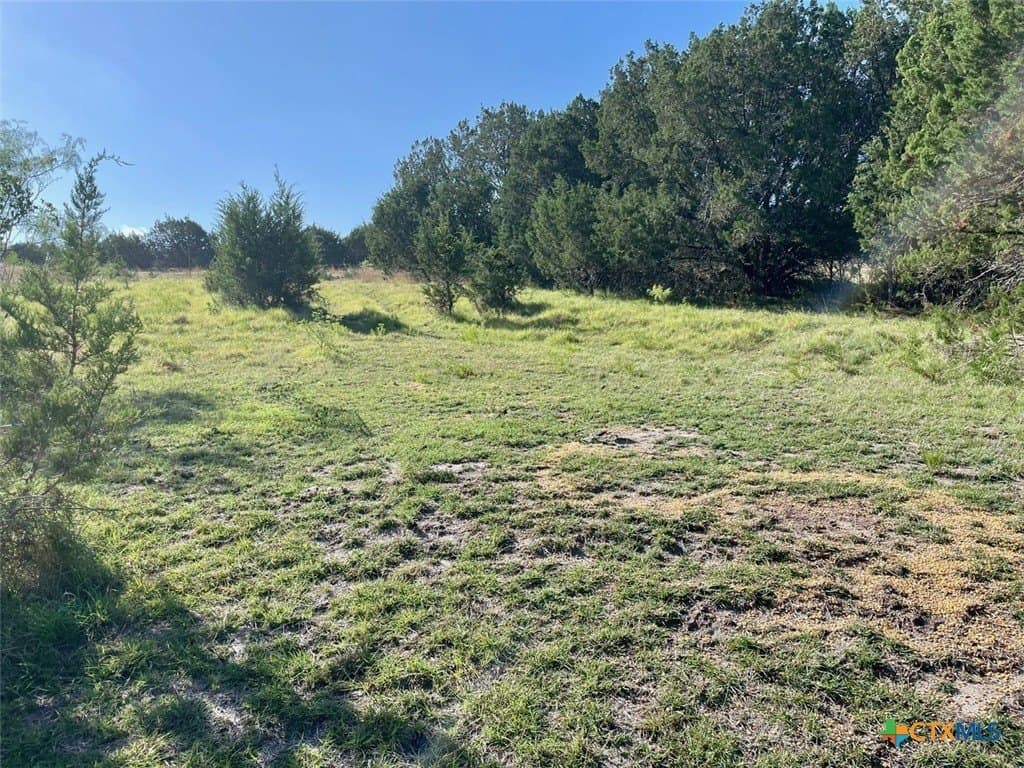 10.04 acres in Burnet County - photo 6