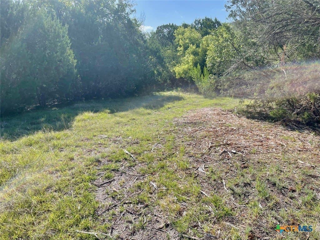 10.04 acres in Burnet County - photo 7