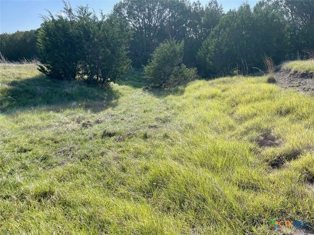 10.04 acres in Burnet County - photo 9