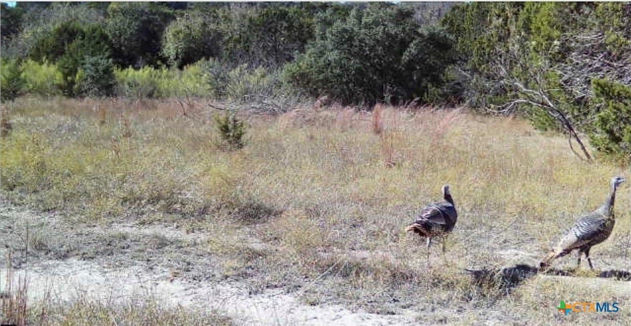 10.04 acres in Burnet County - photo 16