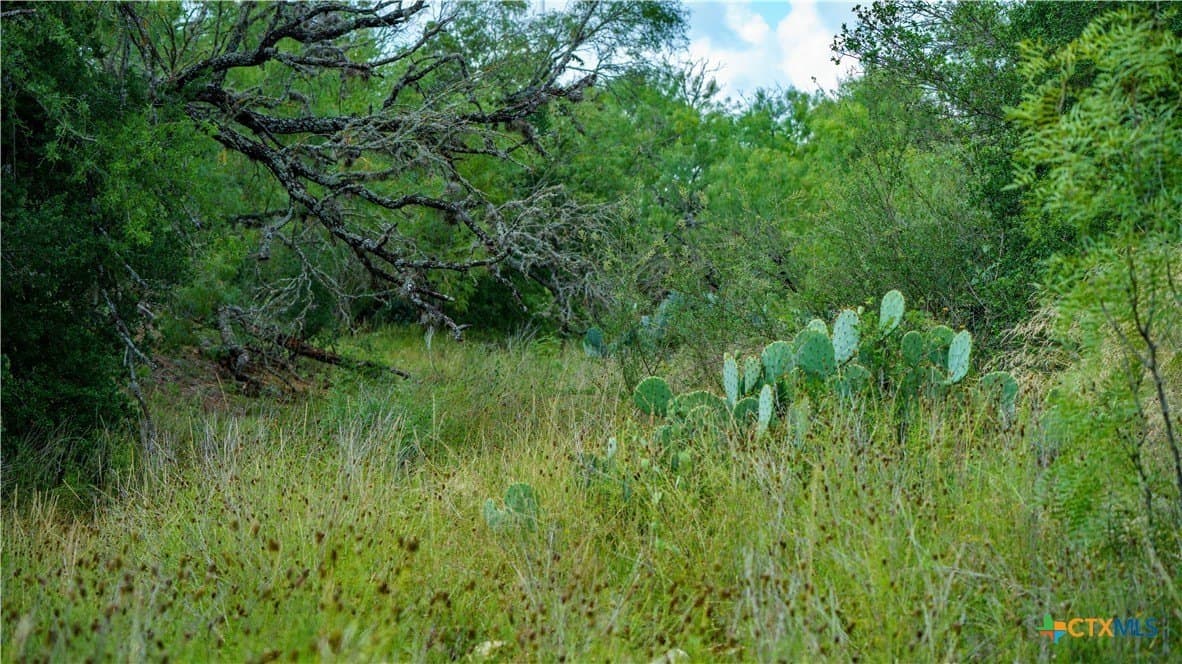 17.15 acres in Bandera County - photo 14