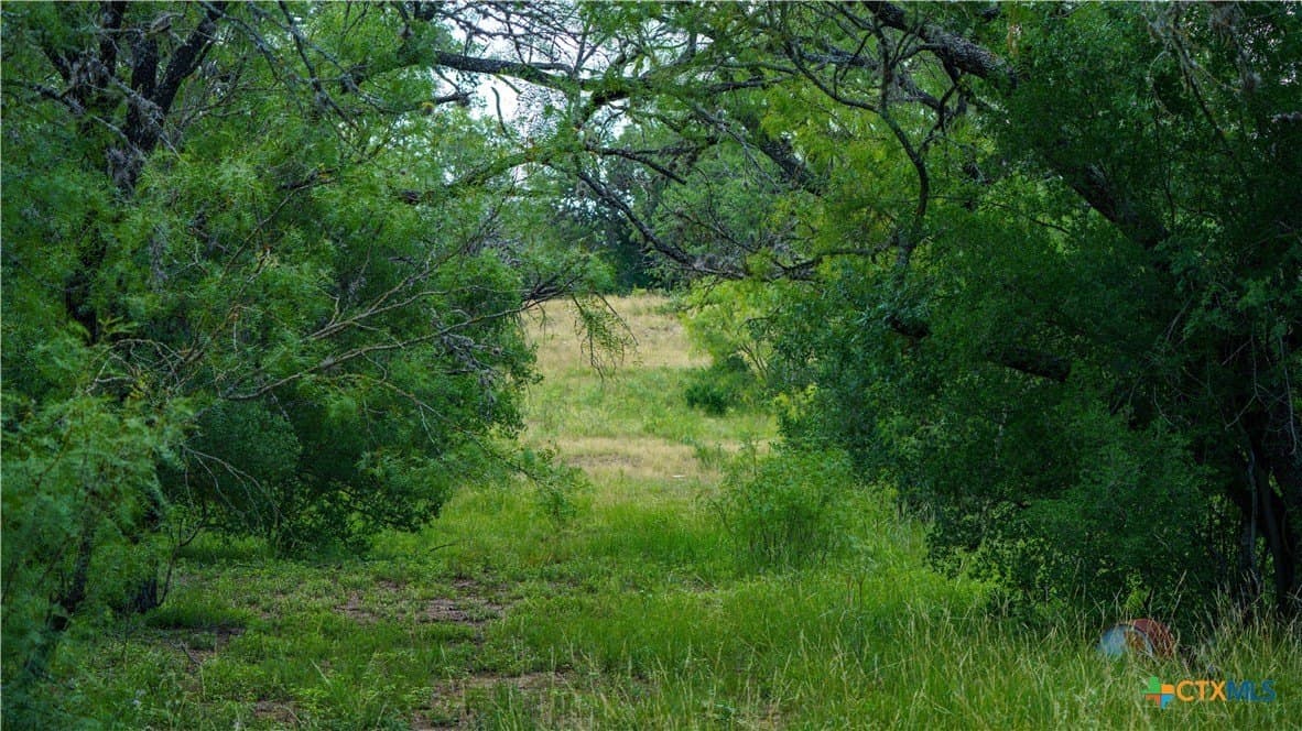 17.15 acres in Bandera County - photo 15