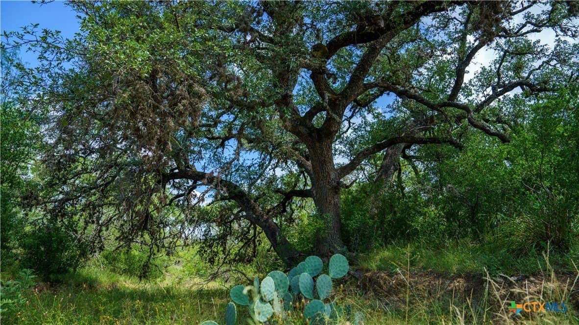 17.15 acres in Bandera County - photo 11