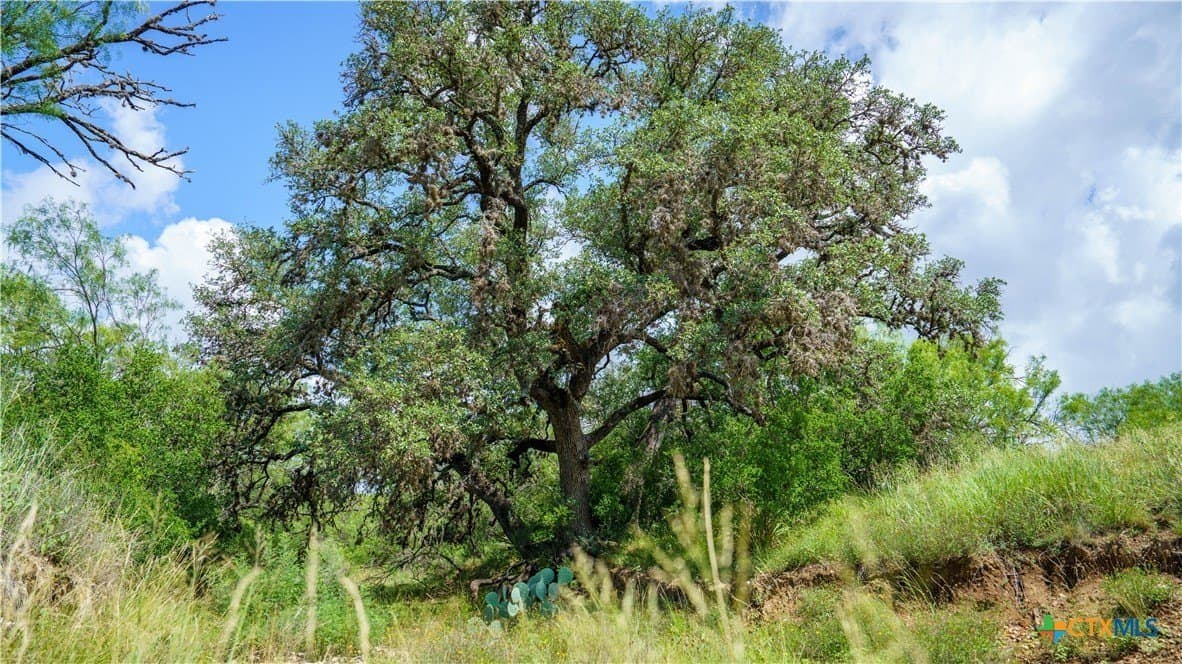 17.15 acres in Bandera County - photo 10