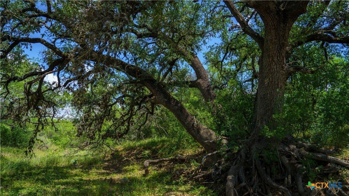 17.15 acres in Bandera County - photo 25