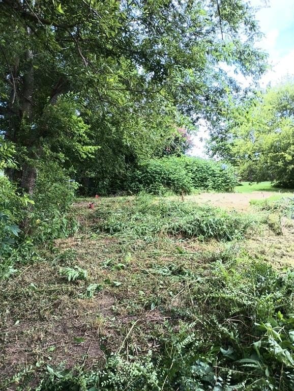 1 acres in Van Zandt County - photo 8