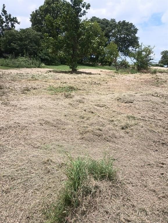 1 acres in Van Zandt County - photo 6