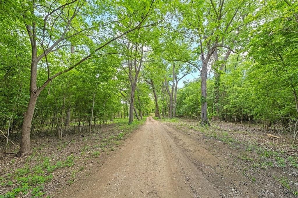58.84 acres in McLennan County - photo 5
