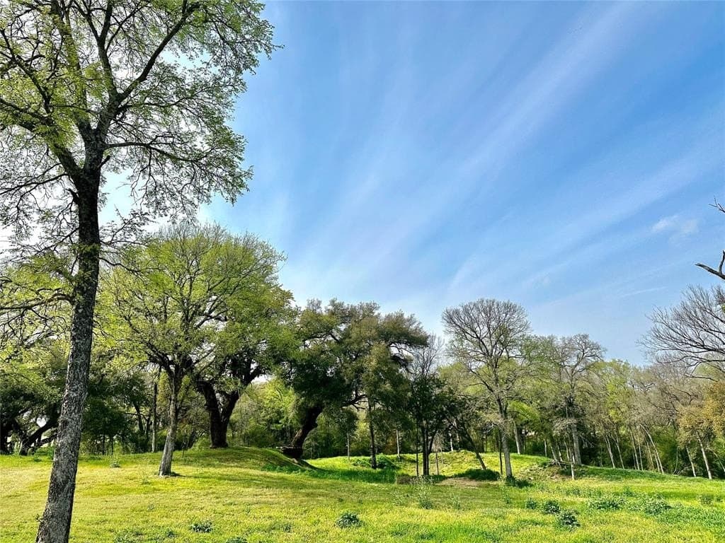 58.84 acres in McLennan County - photo 14