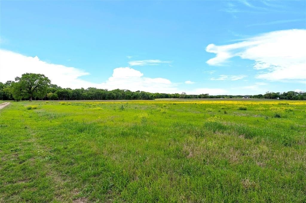 58.84 acres in McLennan County - photo 21