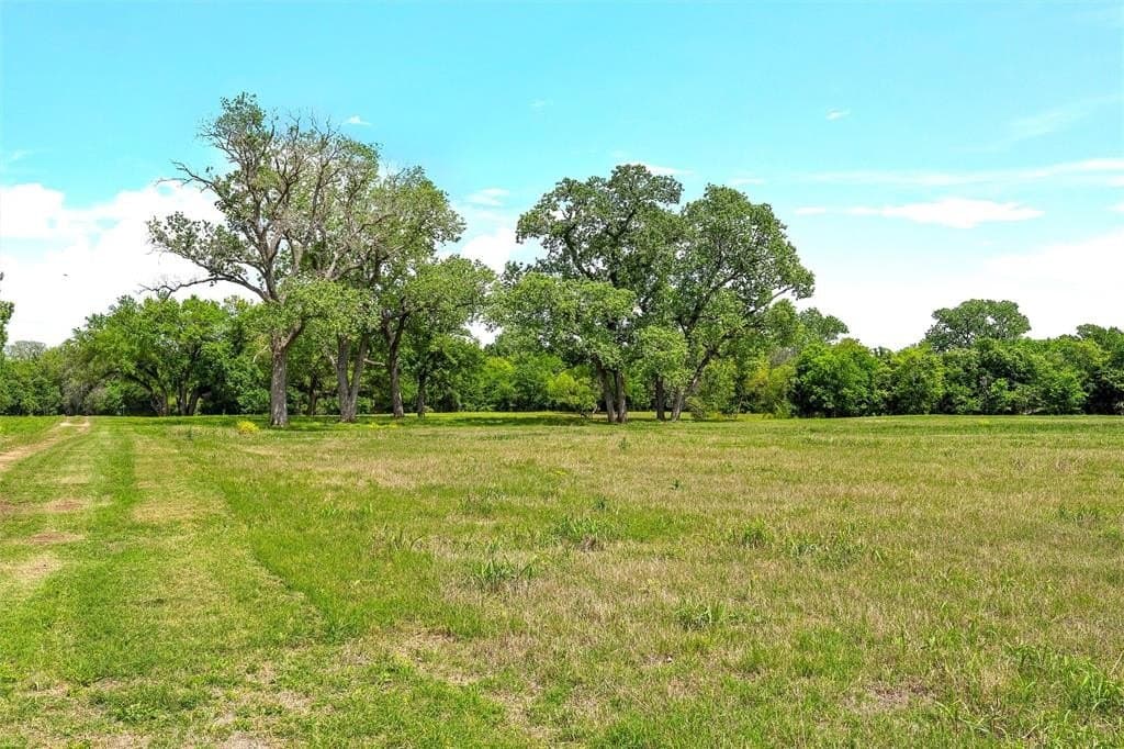 58.84 acres in McLennan County - photo 9