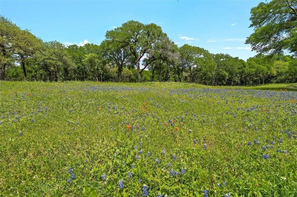 58.84 acres in McLennan County - photo 15
