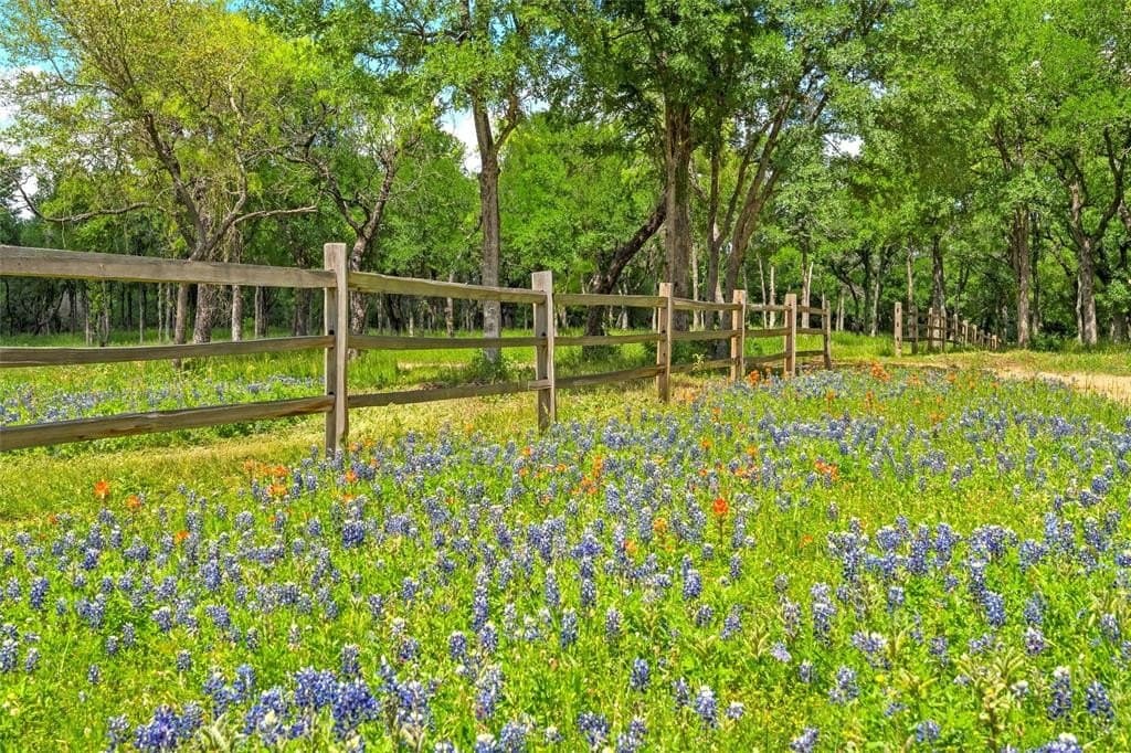 58.84 acres in McLennan County - photo 11