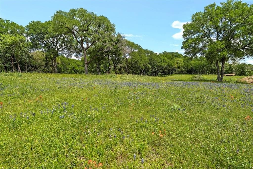 58.84 acres in McLennan County - photo 16