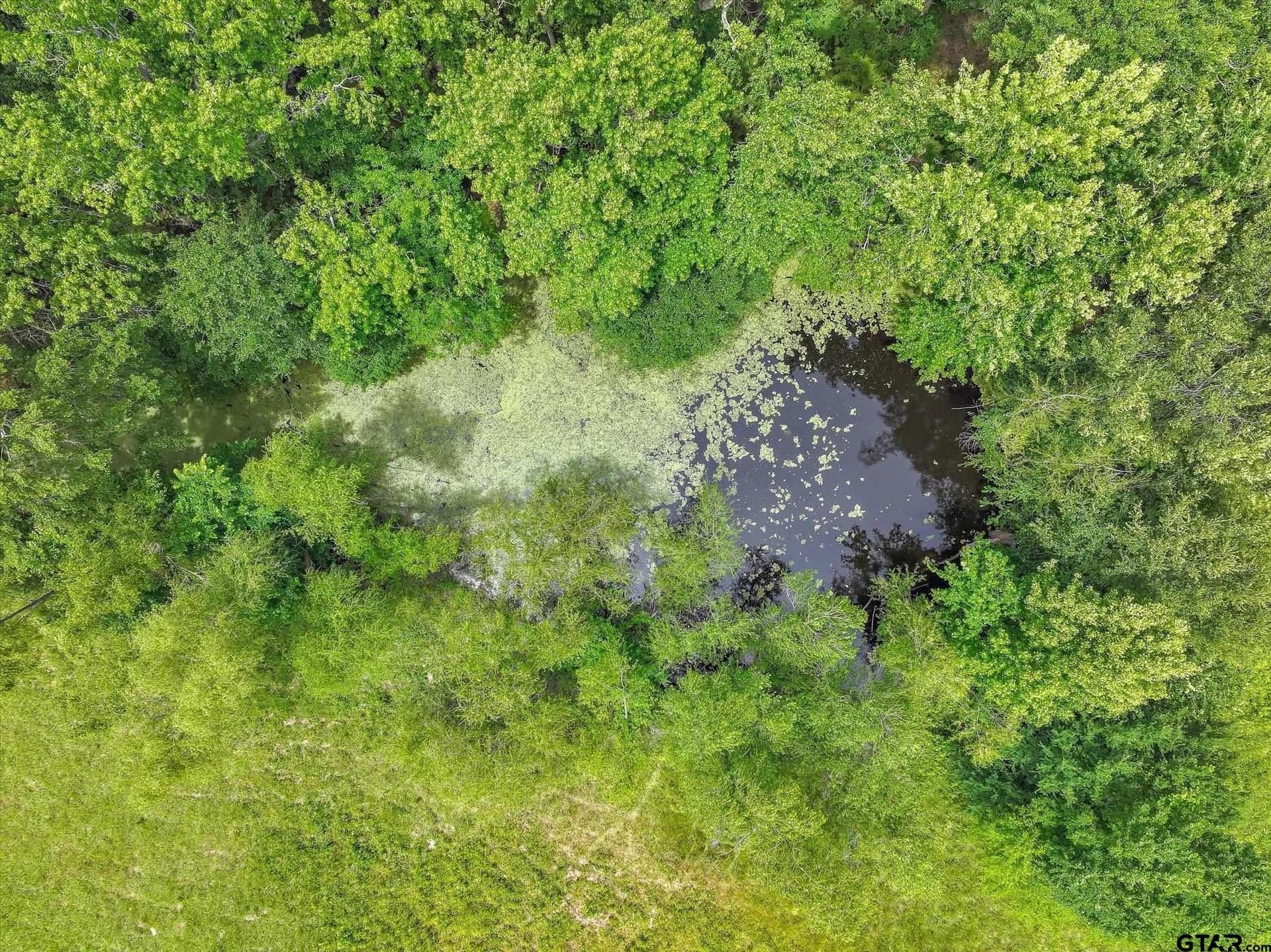 17.82 acres in Wood County - photo 47