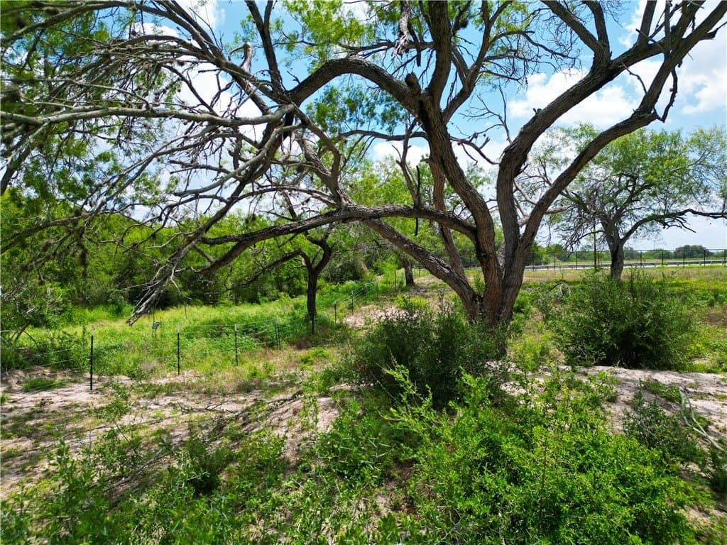 69.93 acres in Bee County - photo 4