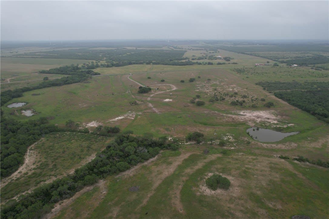 69.93 acres in Bee County - photo 17