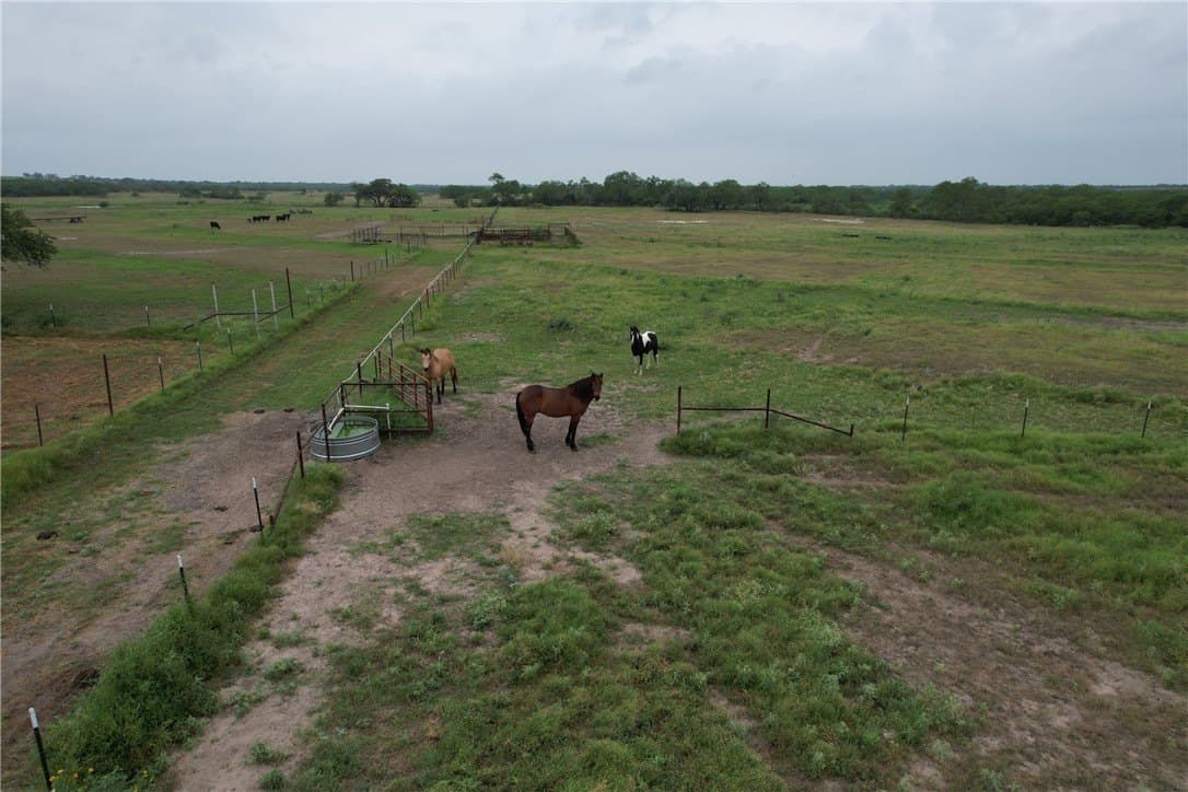 69.93 acres in Bee County - photo 12