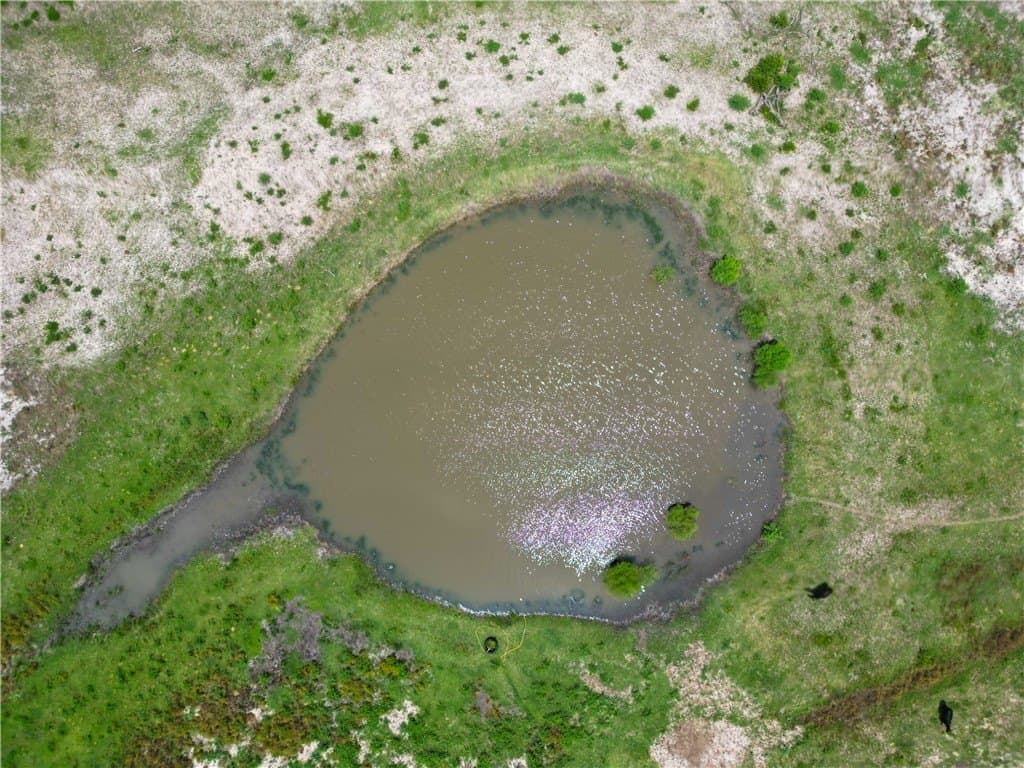 69.93 acres in Bee County - photo 13