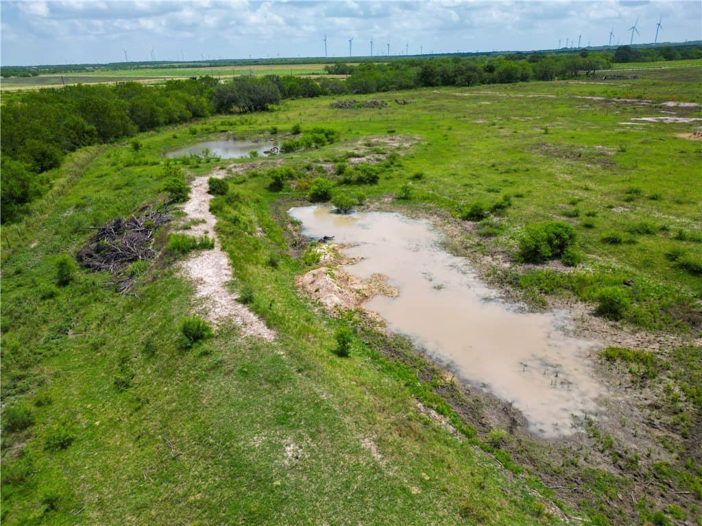 69.93 acres in Bee County - photo 14