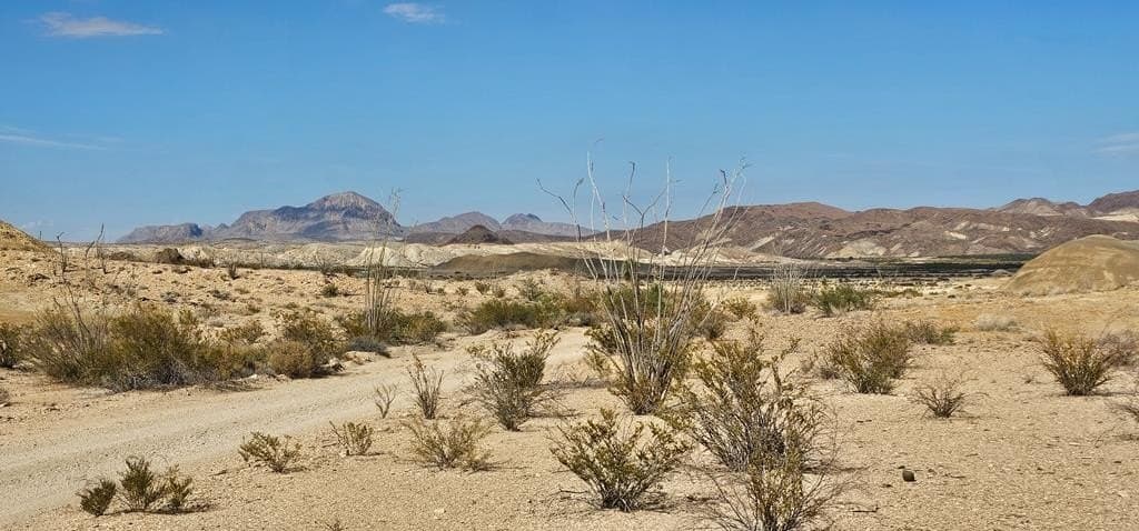 5 acres in Brewster County - photo 9