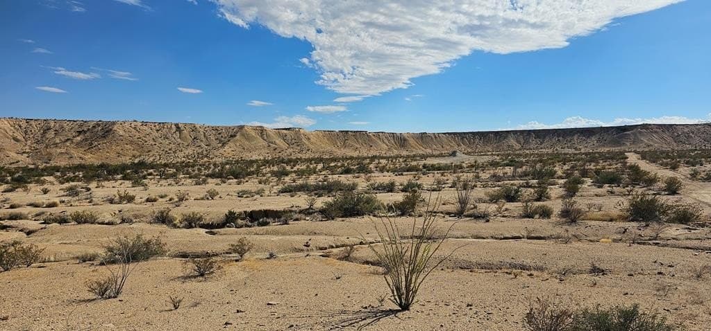 5 acres in Brewster County - photo 8