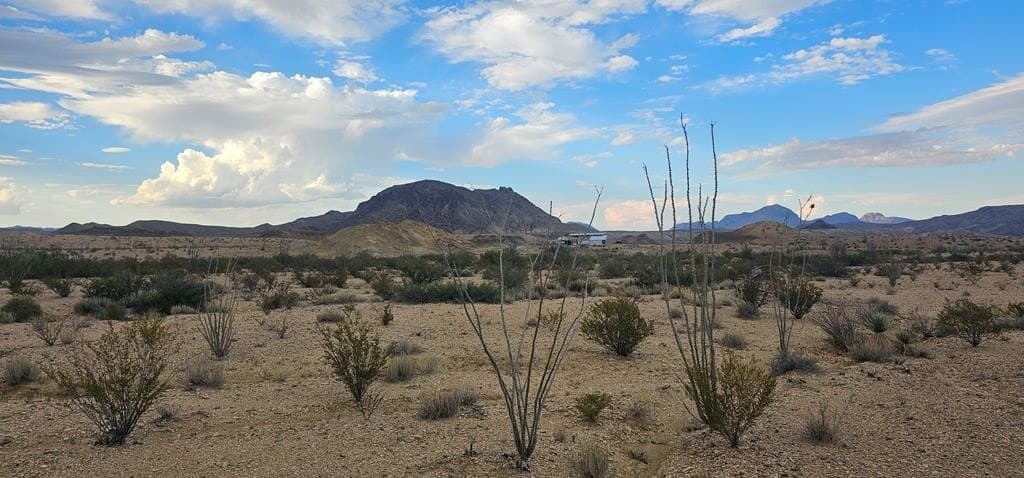 5 acres in Brewster County - photo 2