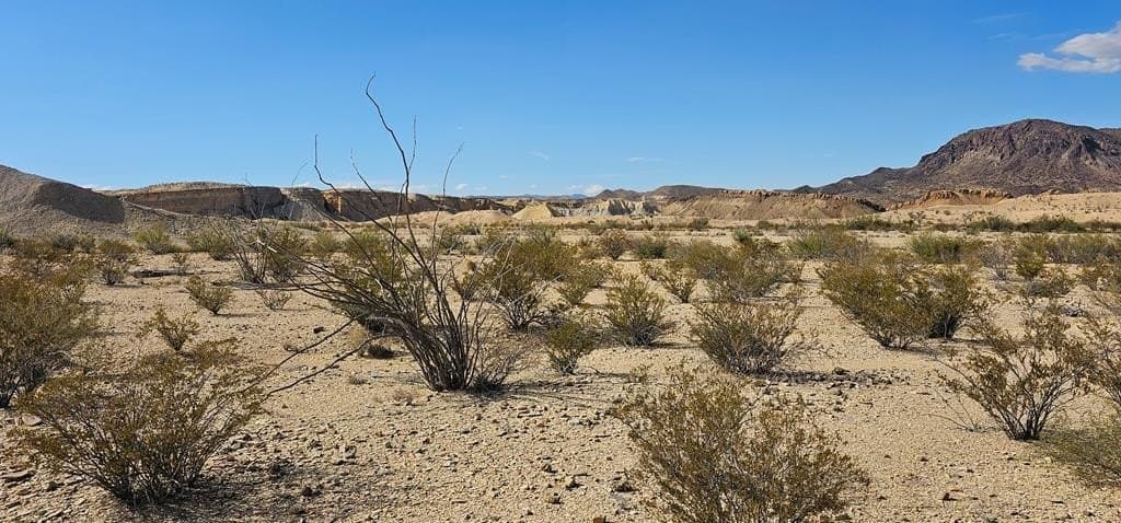 5 acres in Brewster County - photo 10
