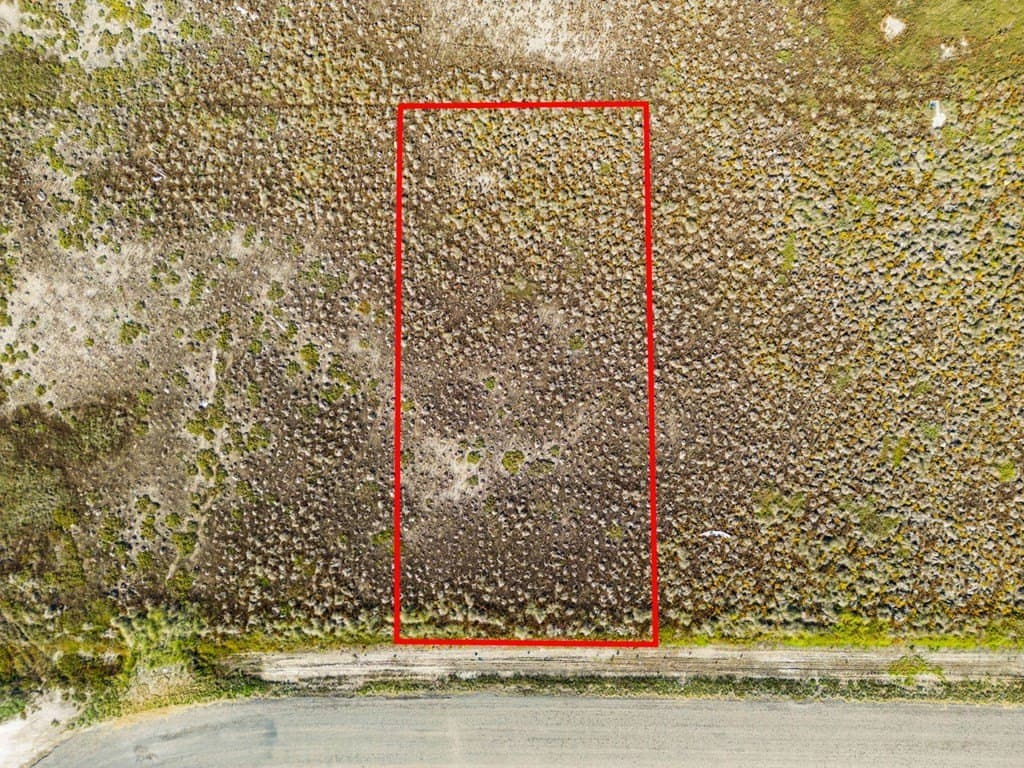 0 acres in Texas County - photo 5