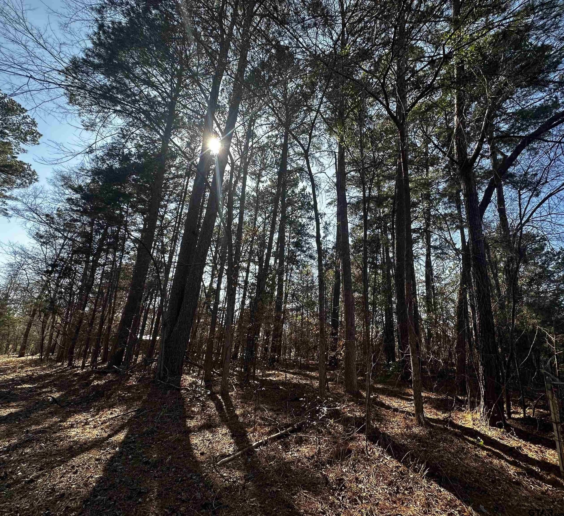 0.35 acres in Cherokee County - photo 3