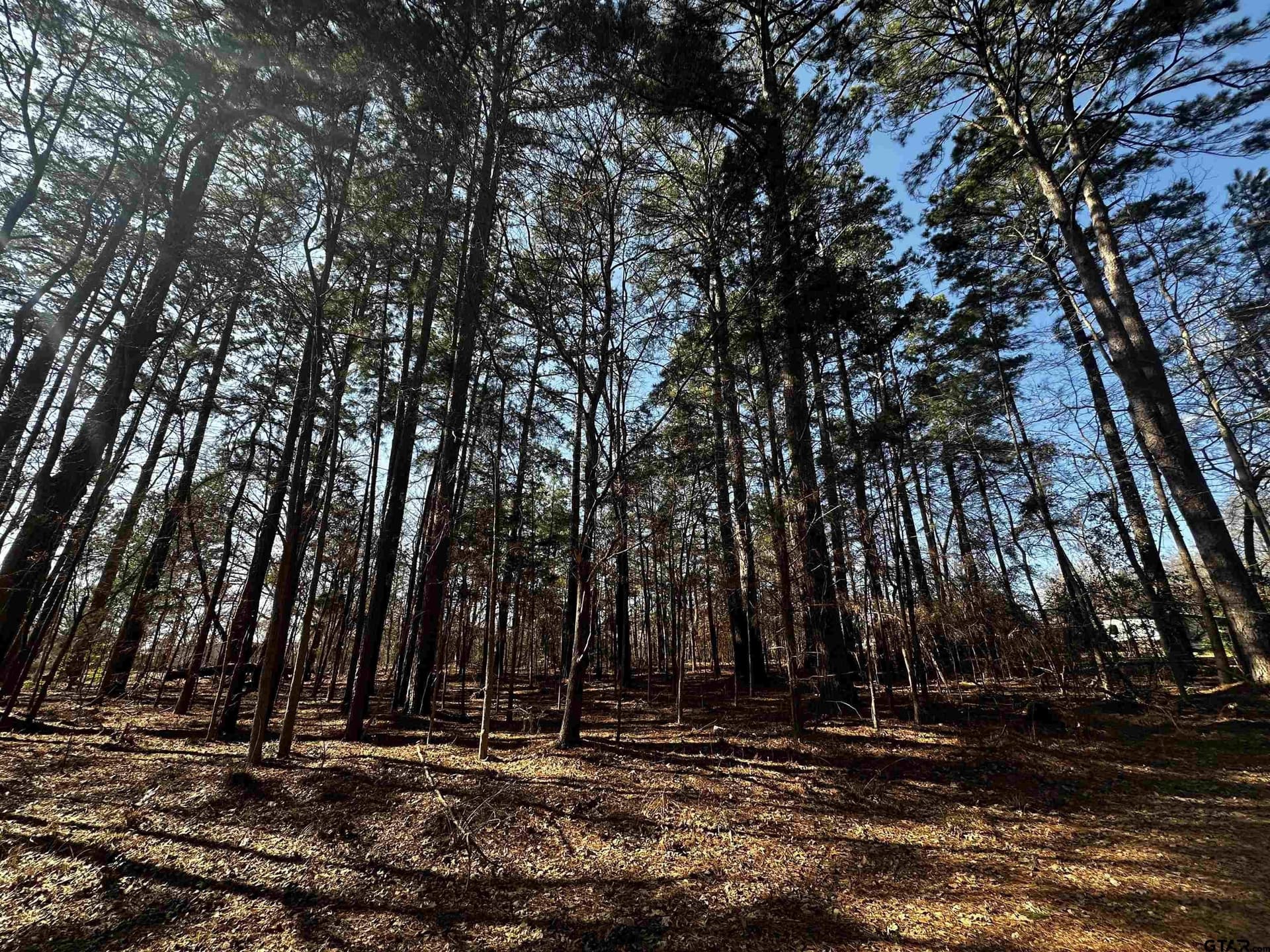 0.35 acres in Cherokee County - photo 2