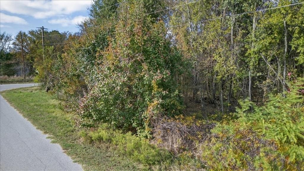 0.4 acres in Henderson County - photo 2