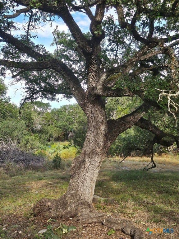 0.97 acres in Comal County - photo 11