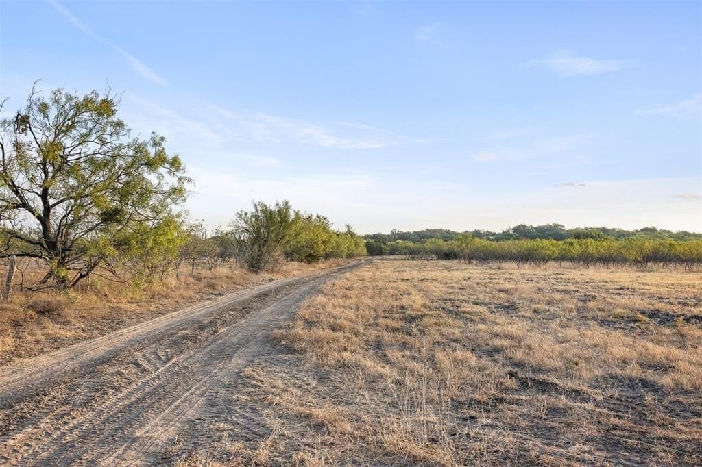 10 acres in McCulloch County - photo 2