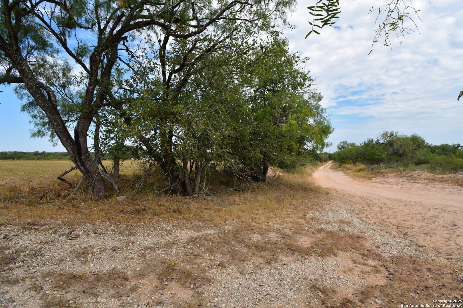4.27 acres in Bexar County - photo 9