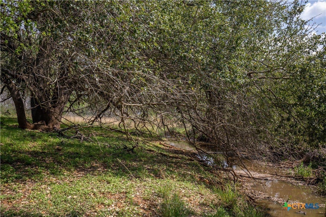 37.45 acres in Atascosa County - photo 37